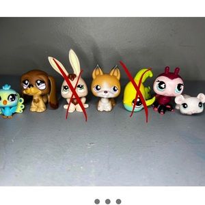 lps lot of 5